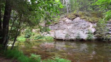 Estonya 'daki Ahja nehrinin kıyısında Devonian kumtaşı çıkıntıları. Ağır çekim. Sabit görüntü