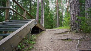 Bakış açısı. Ormanda yürürken, Steadicam videosu. Yavaş çekim görüntüleri.