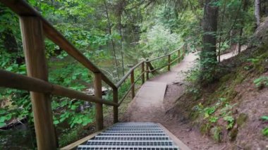 Bakış açısı. Ormanda yürürken, Steadicam videosu. Yavaş çekim görüntüleri.