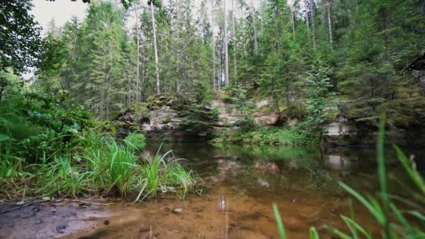 Affleurements Grès Dévonien Sur Les Rives Rivière Ahja Estonie Ralenti — Video