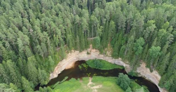 アハ川 タエバスコ エストニアの岸におけるデボン紀の砂岩の露頭の空中図 — ストック動画