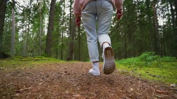 Una Chica Caminando Por Bosque Hora Verano Sección Recortada Cámara — Vídeos de Stock