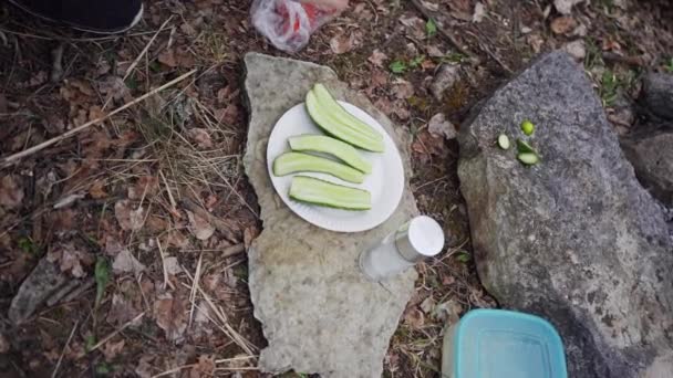 キャンプファイアのそばに座っている新鮮な野菜をスライスした女の子塩 スローモーション映像 — ストック動画