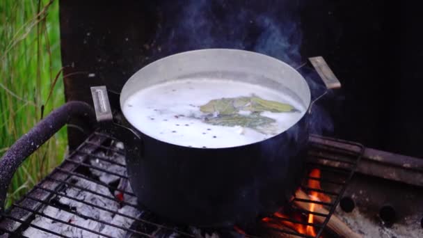 Sluiten Van Pan Met Kokende Vissoep Bbq Slow Motion Beelden — Stockvideo