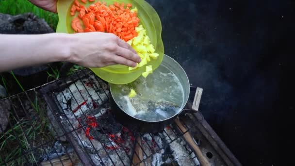 Închiderea Femeii Gătit Supă Pește Tigaie Grătar Imagini Mișcare Lentă — Videoclip de stoc