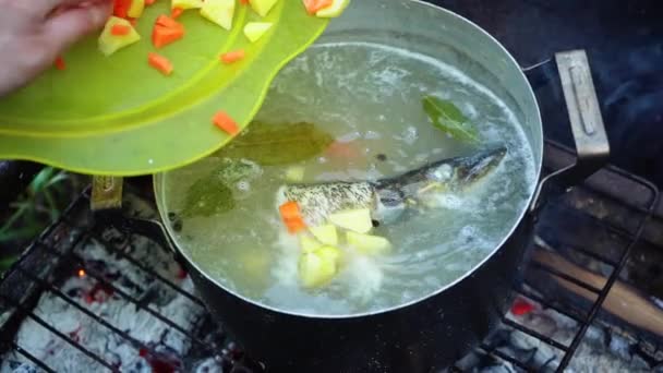 女性の閉店Bbqで日本で魚汁を調理 スローモーション映像 — ストック動画