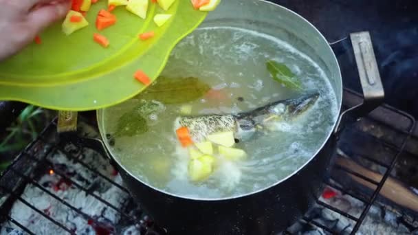 Gros Plan Une Femme Cuisinant Soupe Poisson Dans Une Casserole — Video