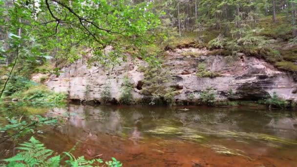 Affleurements Grès Dévonien Sur Les Rives Rivière Ahja Estonie Ralenti — Video