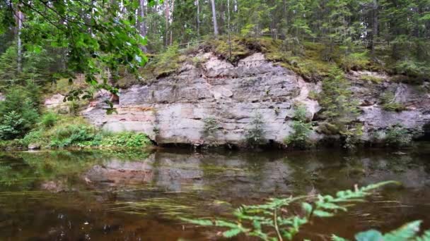 Affleurements Grès Dévonien Sur Les Rives Rivière Ahja Estonie Ralenti — Video