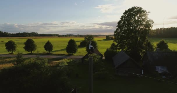 Storch Sitzt Zeitlupe Auf Einer Stange Luftaufnahmen — Stockvideo