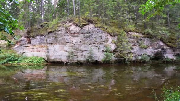 エストニアのアージャ川のほとりにあるデボン紀の砂岩の露頭 スローモーション Steadicamの映像 — ストック動画