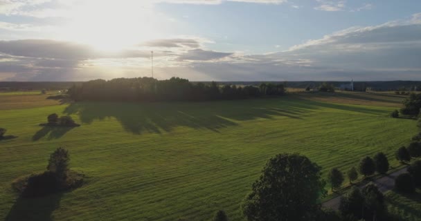 Erstaunliche Luftaufnahme Eines Schönen Feldes Mit Grünen Bäumen — Stockvideo