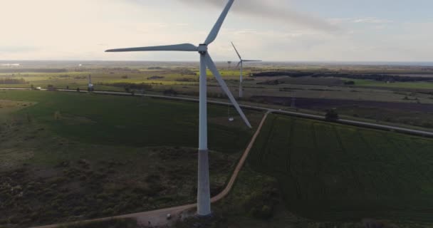 空中映像だ 夏の日に風力タービンと農業分野 — ストック動画