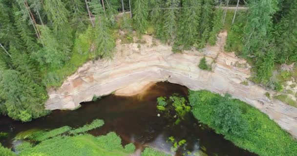 アハ川 タエバスコ エストニアの岸におけるデボン紀の砂岩の露頭の空中図 — ストック動画