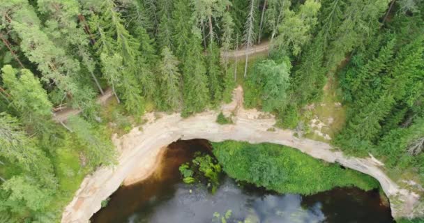 アハ川 タエバスコ エストニアの岸におけるデボン紀の砂岩の露頭の空中図 — ストック動画