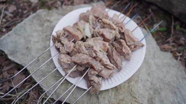 肉を串に刺し 調理する準備ができています 山の中でキャンプファイヤーの前に座っている スローモーション映像 — ストック動画