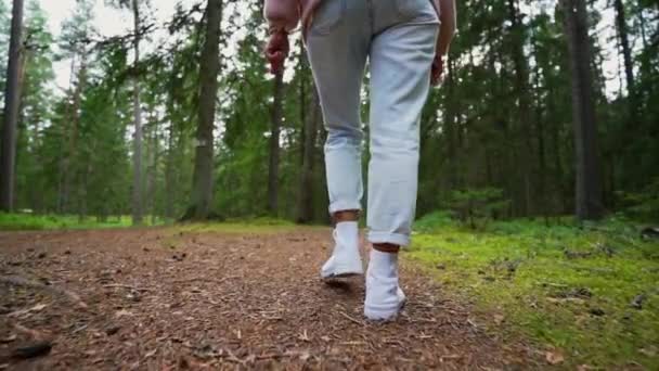 Flicka Som Går Genom Skog Sommartid Beskuren Sektion Slow Motion — Stockvideo