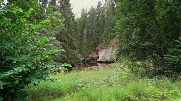 Outcrops Devonian Sandstone Banks Ahja River Estland Langzame Beweging Beelden — Stockvideo