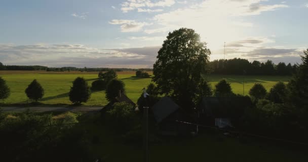 Storch Sitzt Zeitlupe Auf Einer Stange Luftaufnahmen — Stockvideo