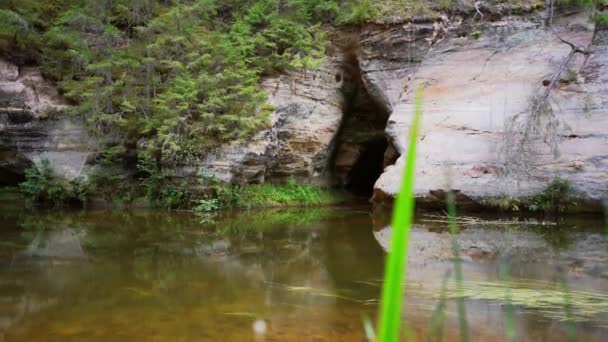 Outcrops Devonian Sandstone Banks Ahja River Estonia Cámara Lenta Imágenes — Vídeos de Stock