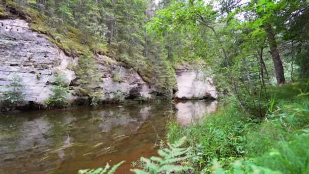 Affleurements Grès Dévonien Sur Les Rives Rivière Ahja Estonie Ralenti — Video