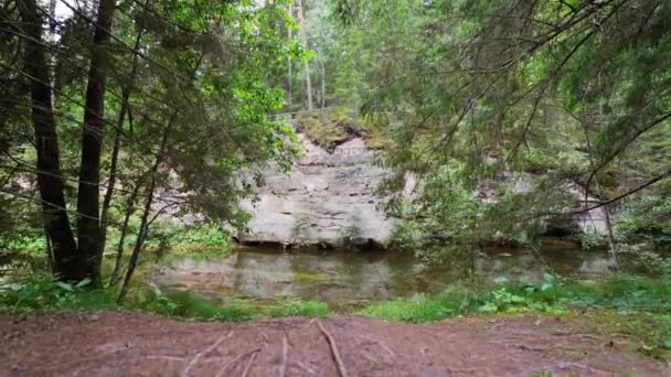 Outcrops Devonian Sandstone Banks Ahja River Estland Langzame Beweging Beelden — Stockvideo