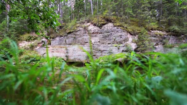 Výběžky Devonského Pískovce Březích Řeky Ahja Estonsko Zpomal Záběry Steadicamu — Stock video