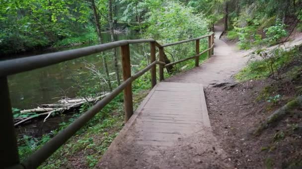 Een Krijgsgevangene Wandelen Door Het Bos Steadicam Video Slow Motion — Stockvideo