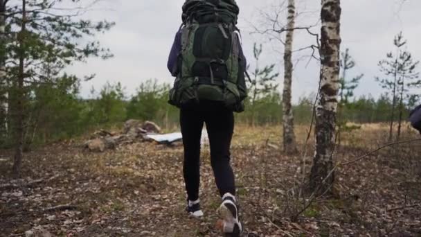 Jovem Com Mochila Andando Floresta Durante Dia Câmera Lenta — Vídeo de Stock