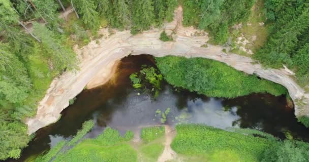 アハ川 タエバスコ エストニアの岸におけるデボン紀の砂岩の露頭の空中図 — ストック動画