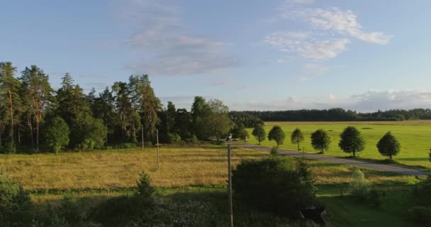 Storch Sitzt Zeitlupe Auf Einer Stange Luftaufnahmen — Stockvideo