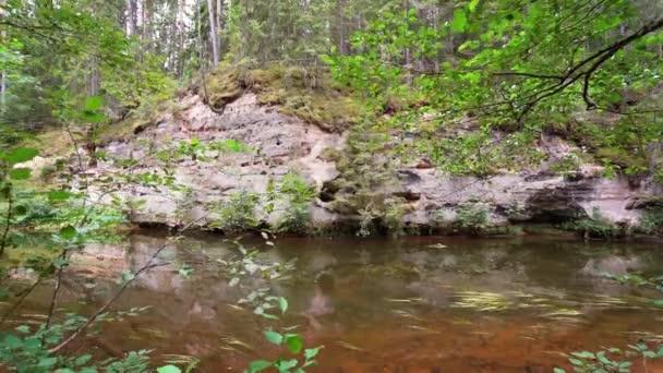 Outcrops Devonian Sandstone Banks Ahja River Estonia Slow Motion Steadicam — Stock Video