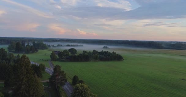 Prachtig Uitzicht Vanuit Lucht Een Prachtig Veld Met Groene Bomen — Stockvideo