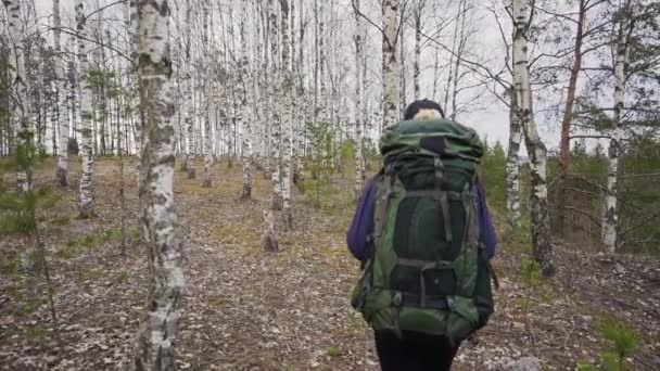 Mujer Joven Con Mochila Caminando Bosque Durante Día Cámara Lenta — Vídeo de stock