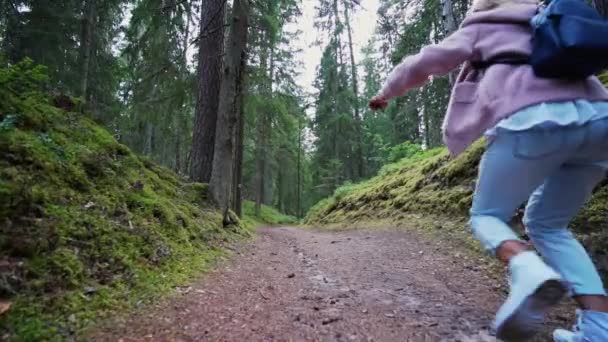 Point Vue Marchant Dans Forêt Steadicam Tiré Images Ralenti — Video