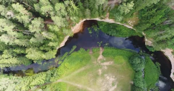 アハ川 タエバスコ エストニアの岸におけるデボン紀の砂岩の露頭の空中図 — ストック動画