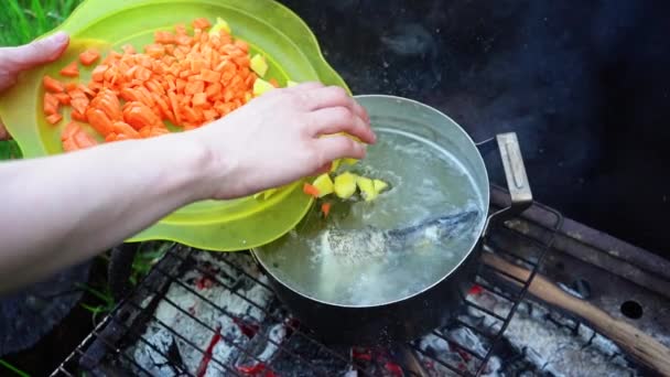 Closeup Woman Cooking Fish Soup Pan Bbq Slow Motion Footage — Stock Video