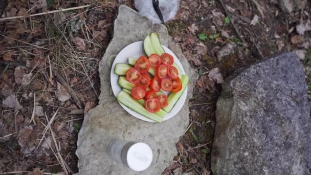 Dziewczęca Sól Kroiła Świeże Warzywa Siedząc Przy Ognisku Nagranie Wolnego — Wideo stockowe