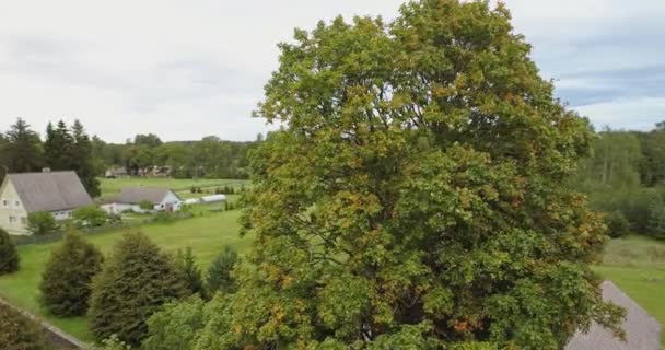 Vista Aérea Incrível Bela Pequena Cidade Rural Campos Verdes Árvores — Vídeo de Stock