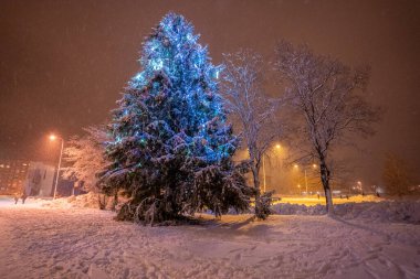 Kar parkındaki Noel ağacının mavi ışığı, gece vakti 