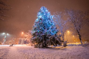 Kar parkındaki Noel ağacının mavi ışığı, gece vakti 