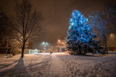 Kar parkındaki Noel ağacının mavi ışığı, gece vakti 