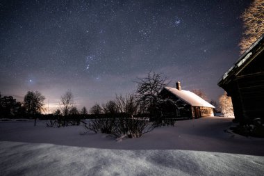 Kışın ormanın üzerindeki karanlık gökyüzünde Samanyolu 'nun gece görüşü