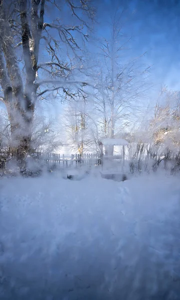 Vue Panoramique Forêt Hiver Jour Photos De Stock Libres De Droits