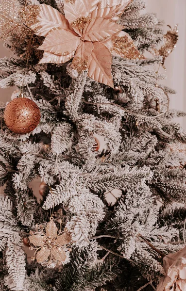 Χριστουγεννιάτικο Λουλούδι Βρίσκεται Ένα Κλαδί Έλατο Διακόσμηση Χριστουγεννιάτικο Δέντρο — Φωτογραφία Αρχείου