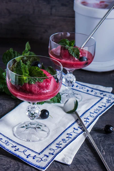 Blackcurrant sorbe cam tabak