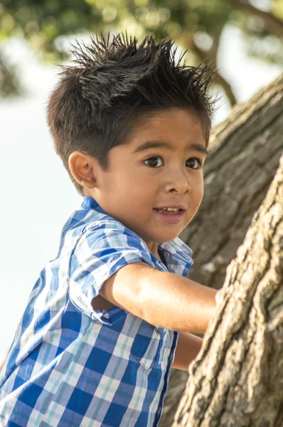 Ein asiatischer Junge klettert auf einen Baum — Stockfoto