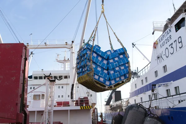 Dondurulmuş balık ürünlerinin aşırı yüklenmesi