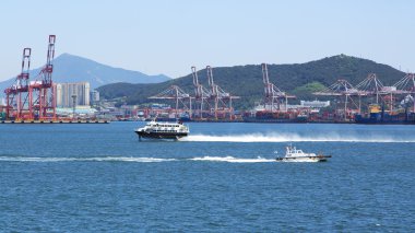 Port Busan çeşitleri.