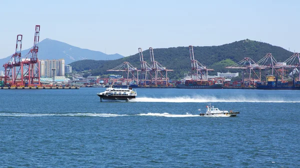 Port Busan çeşitleri.